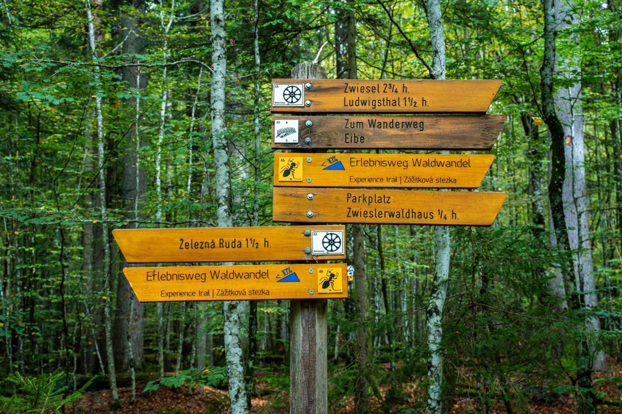 Grosser Arber, Wandern & Sauna, Gemuetliches Apartment Im Nationalpark Bayerischen Wald Линдберг Экстерьер фото