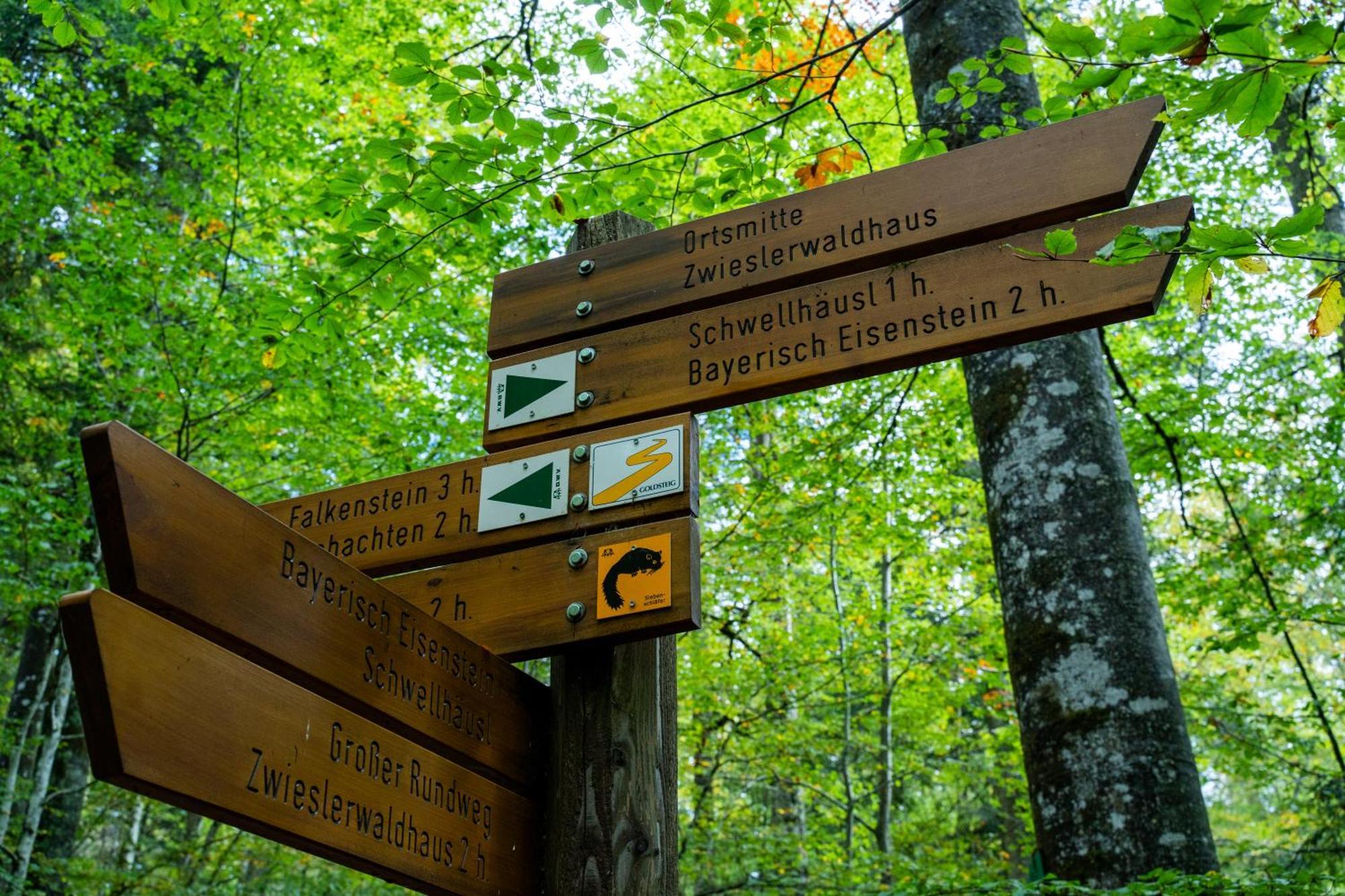 Grosser Arber, Wandern & Sauna, Gemuetliches Apartment Im Nationalpark Bayerischen Wald Линдберг Экстерьер фото